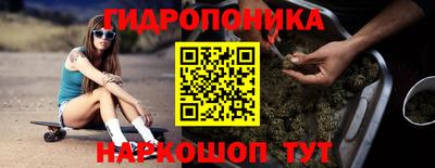 прущие крисы Бийск