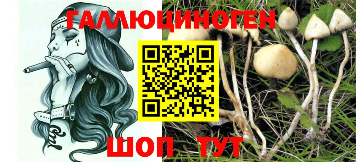 купить закладку  Вход с VPN  Керчь  Псилоцибиновые грибы MAGIC MUSHROOMS 
